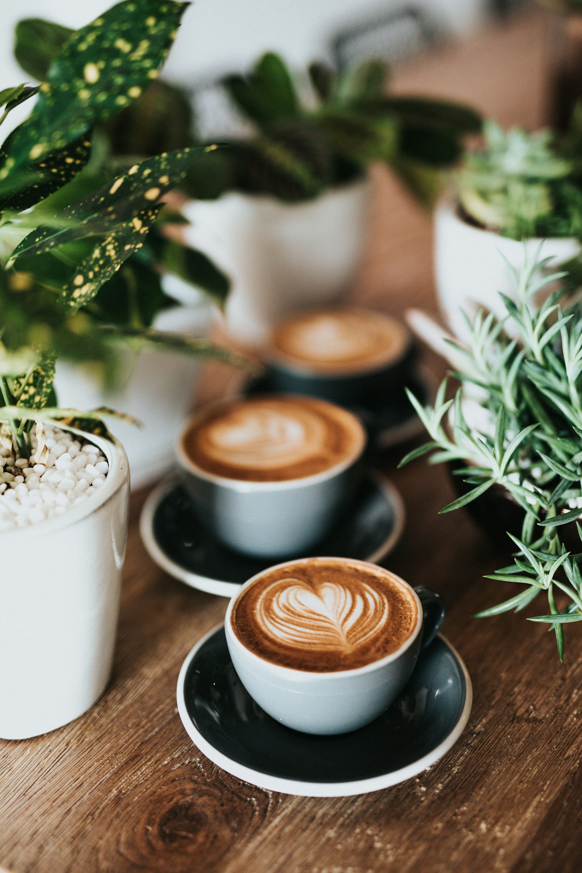 Café al aire libre